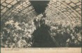 /album/publicites-generales/a34-g-calame-fils-horticulteurs-interieur-de-la-serre-jpg/